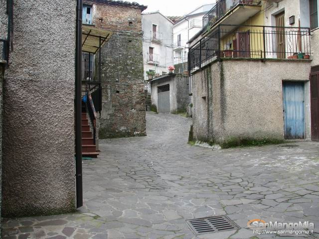 Rughe suprane 025